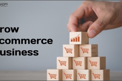 How to Grow Ecommerce Business fastly
