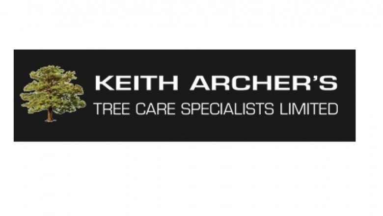 Tree Surgeons Dagenham