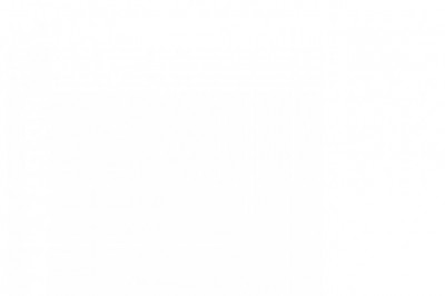 Financial and Economic Consulting for Law Firms