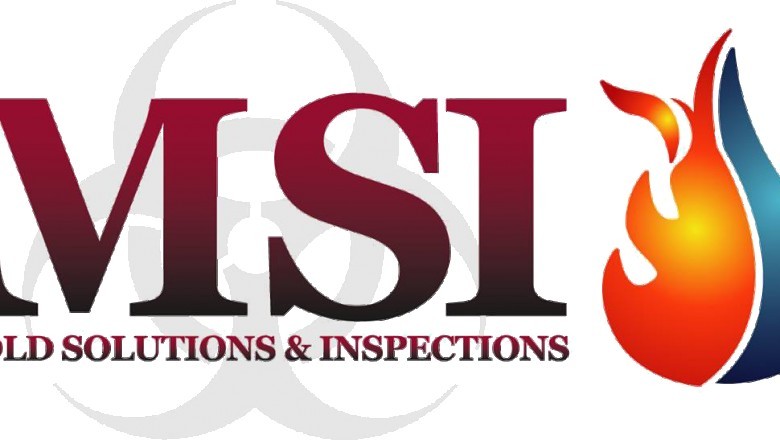 Mold Inspection & Testing in Upper Darby