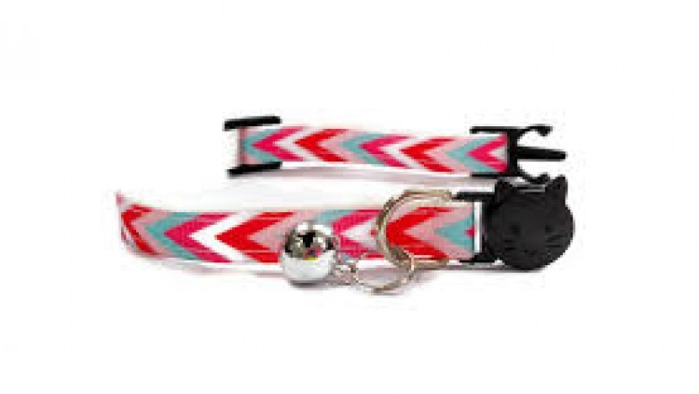 Kitten Collars - Zacal
