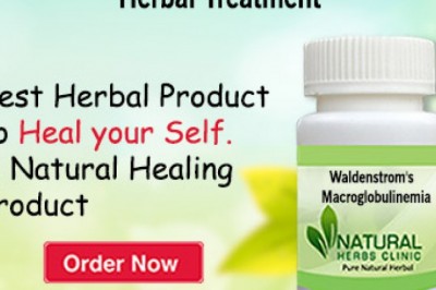 Herbal Treatment for Waldenstrom's Macroglobulinemia - Natural Herbs Clinic