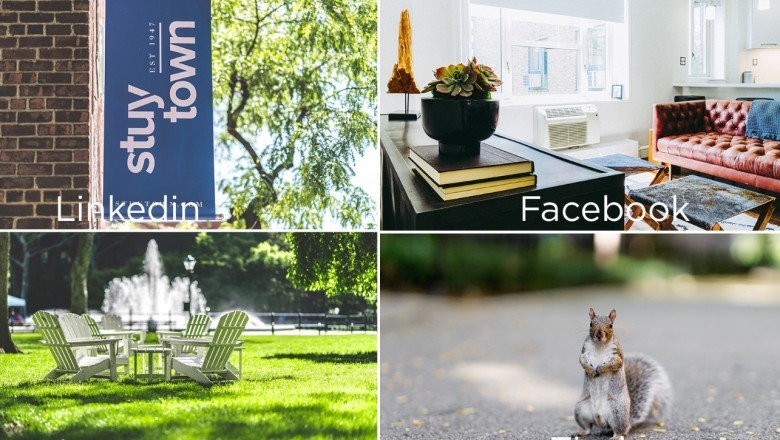 Large Apartments in stuyvesant town