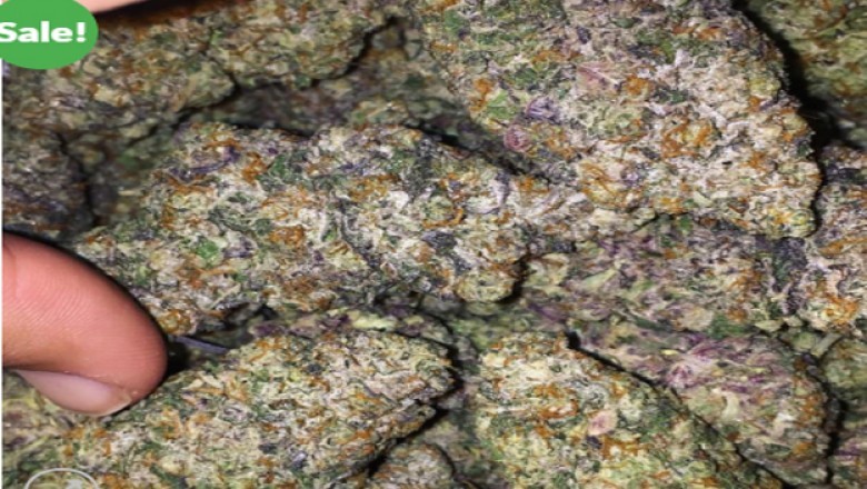 Blue Dream, a sativa-dominant hybrid originating