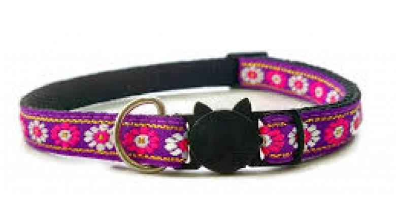 Safety Cat Collars