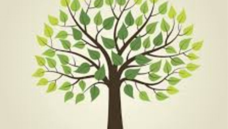 Tree Services