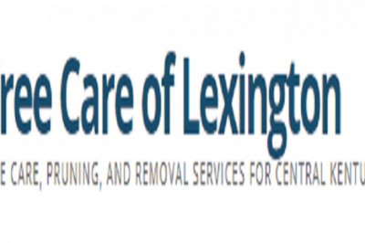 Tree Removal Services