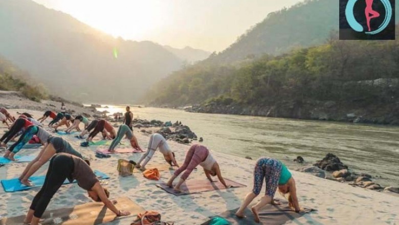Yoga Teacher Training TTC in Rishikesh