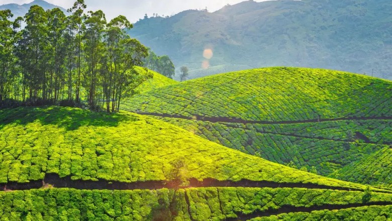 Bangalore to Coonoor Cab | Bangalore to Coonoor Taxi