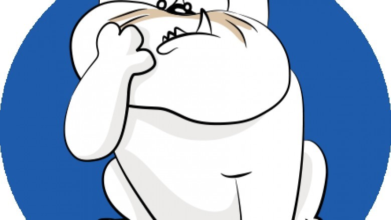 Organic Wrinkle Balm For Dogs