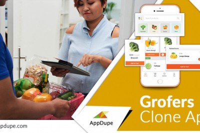 Witness growth with your Grofers clone by adopting the robust business model