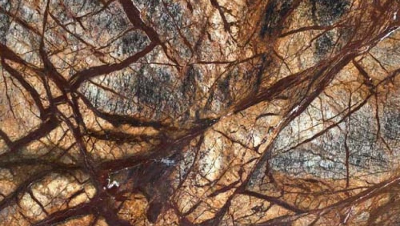 RAINFOREST BROWN MARBLE