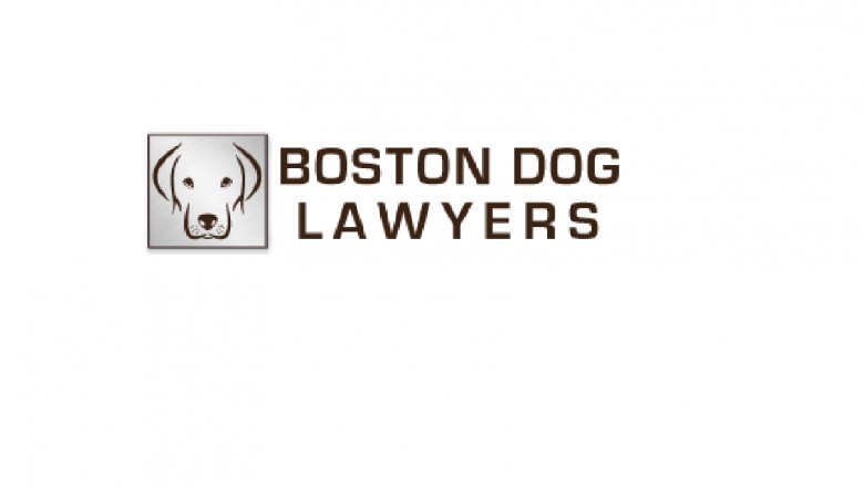 Dog Ownership Dispute Massachusetts