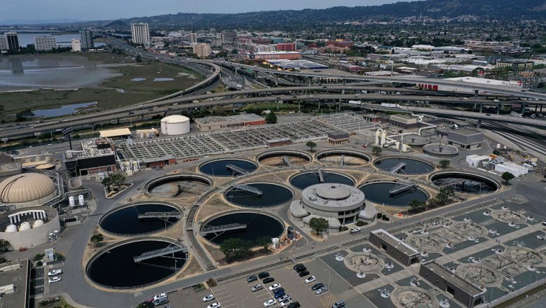 Poop might Slow Down the ceases of coved19 pandemic. Really? - Khalifnews