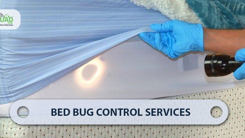 Best Bed Bug Pest Control Services in Bangalore