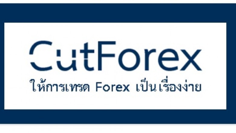 Ways to Trade Stocks Online Profitably