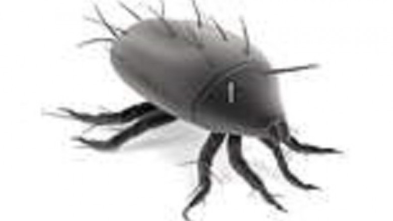 Commercial Pest Control in boston