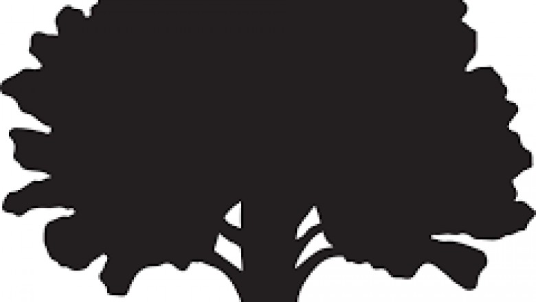 Lone Oak Brewing Co | Craft Beer Store