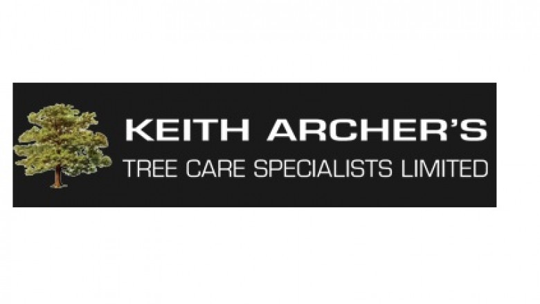 Tree Surgeons Southend