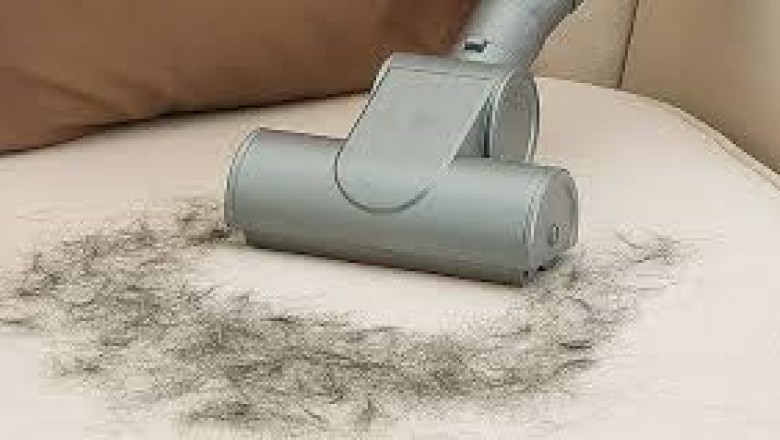 Best Pet Hair Vacuums in 2020 That Work