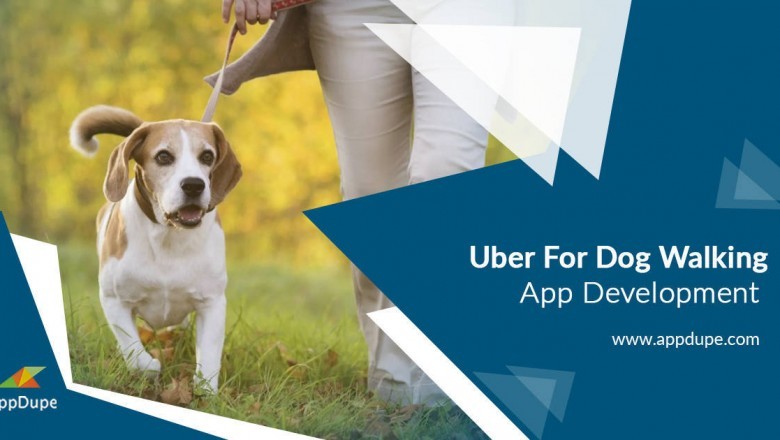 The feature-set worth considering in an on-demand dog walking app