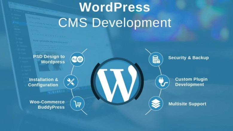 Why WordPress CMS is a Good Choice for Any Online Website