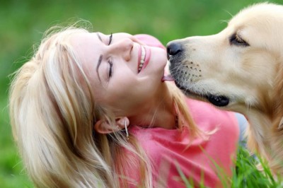 Buy Bulk Bully Sticks and Beef Ears - Cats and Dogs Rock