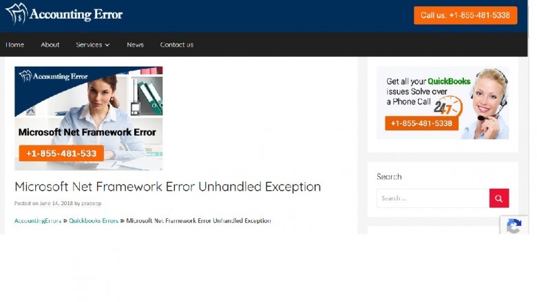What is a Microsoft .NET Framework error