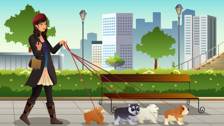 Developing An Innovative Dog Walking App