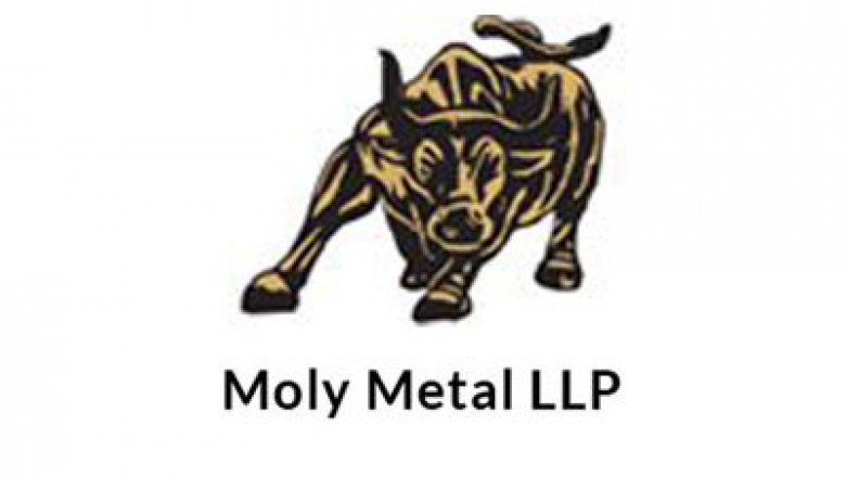 Molybdenum Disulfide Powder