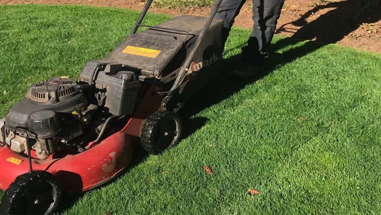 Landscape Maintenance in Mountlake Terrace