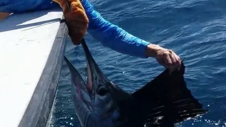 Bahamas Fishing Trips Ft Lauderdale