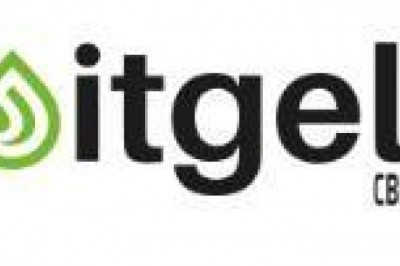 Best CBD Oils of 2020 and How to Choose One - Itgel CBD