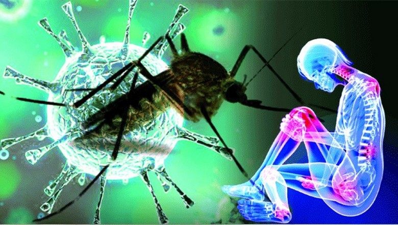 Things to Know About the Chikungunya Virus