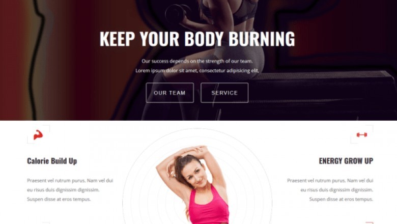 WordPress Themes - Free Download Options