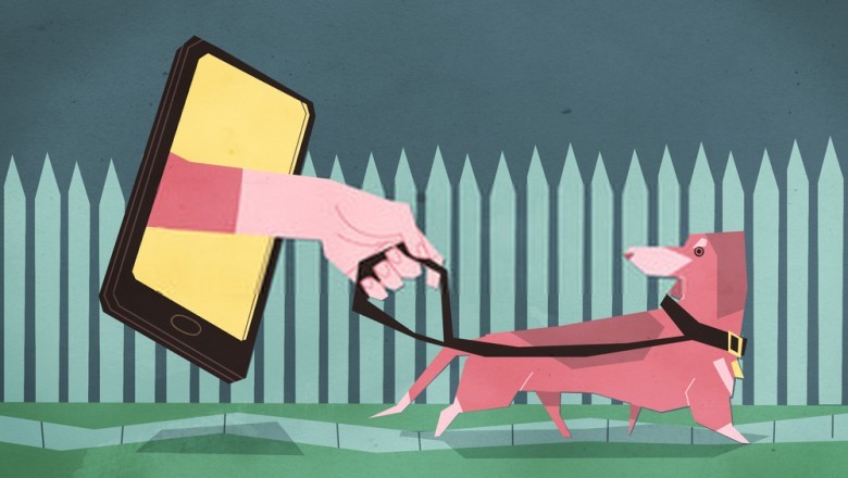 Brief Outlook About The Workflow And Revenue Streams Of Uber For Dogwalker