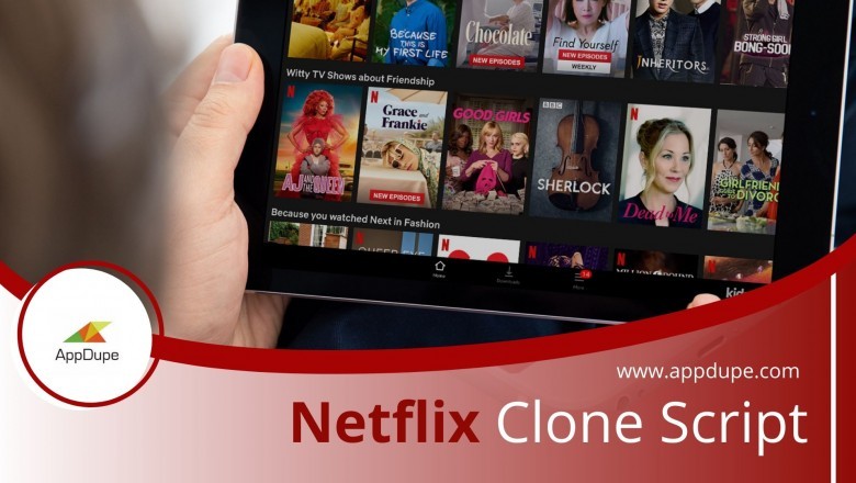 How to develop a successful Netflix clone script?