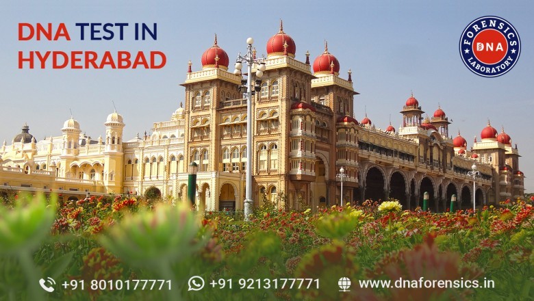DNA Test in Hyderabad