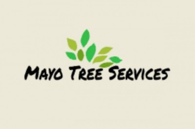 Go for Expert Tree Care Services