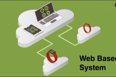 Web Based or Software Based System?