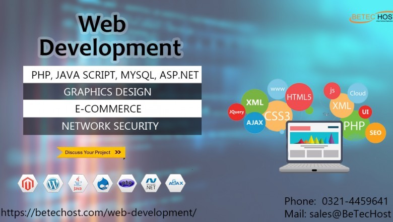Hire Web Developer – 10 details to Ponder Upon