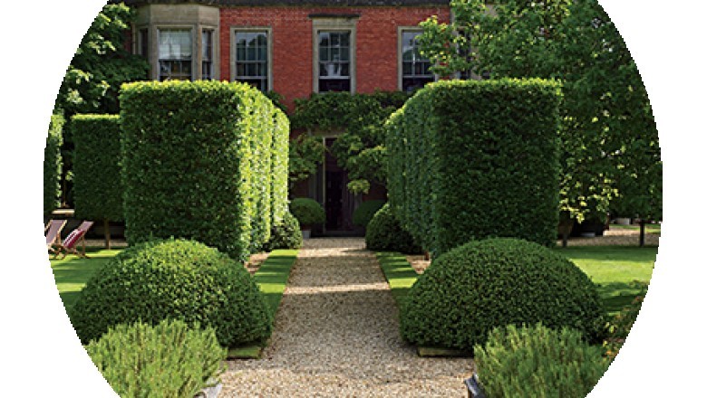 Newimagecorp - Lawn Care Services Near Me (Los Angeles)?