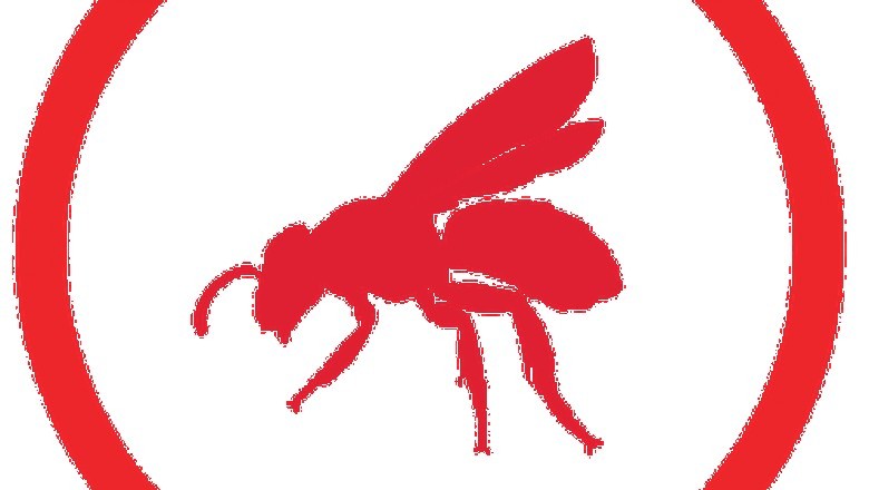 Affordable Eco-Friendly Pest Solutions