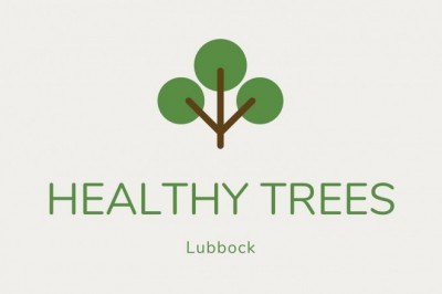 Choosing a Tree Service Professional