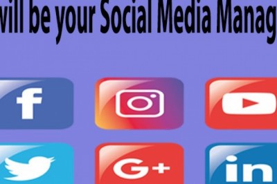 I will be your social media manager for 30 days ads campaign