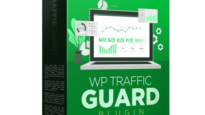 WP TRAFFIC GUARD REVIEW