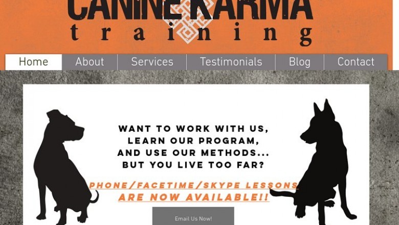 Dog Trainer In Long Island NY