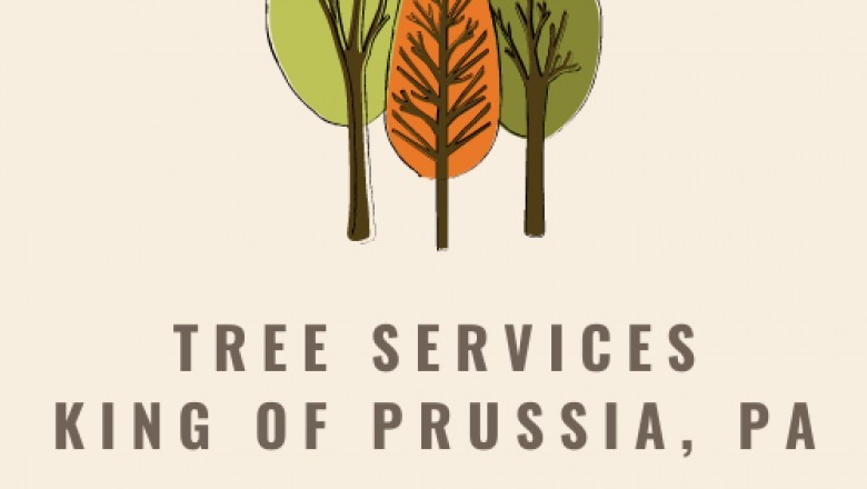 3 Reasons Why You will need a Tree Service