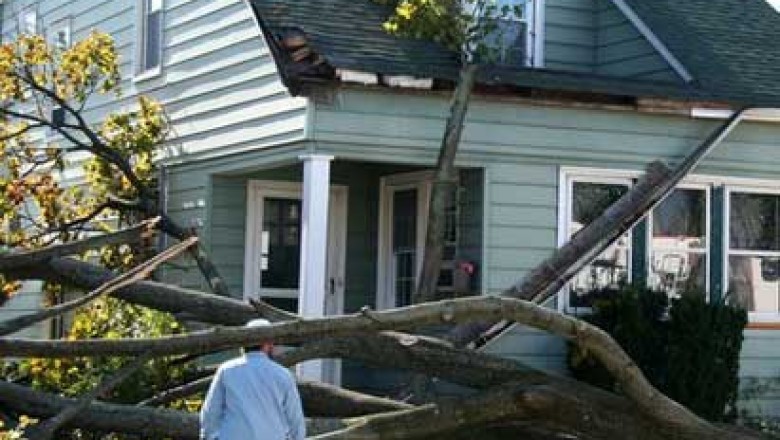 Storm Cleanups Service Nassau