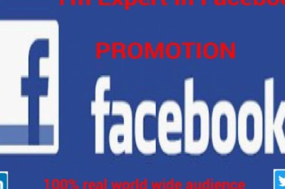 I will do promote facebook post, social media marketing